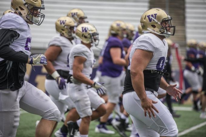 Washington Huskies vs. Arizona Wildcats at Husky Stadium